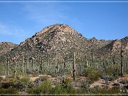 Saguaro NP West