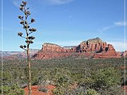 Sedona