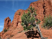 Sedona