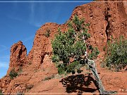 sedona_2006_11