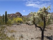 Ajo Scenic Loop