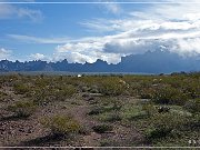KOFA - Palm Canyon