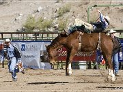 Wickenburg Gold Rush Days Rodeo