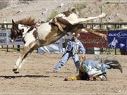 Wickenburg Gold Rush Days Rodeo