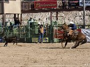 Wickenburg Gold Rush Days Rodeo