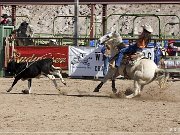 Wickenburg Gold Rush Days Rodeo