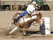 Wickenburg Gold Rush Days Rodeo