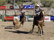Wickenburg Gold Rush Days Rodeo