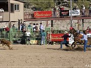Wickenburg Gold Rush Days Rodeo