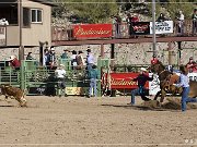 rodeo_19