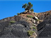 South Shale Ridge