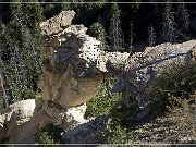 South Shale Ridge