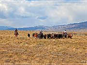 Cowboys