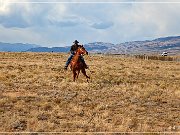 Cowboys