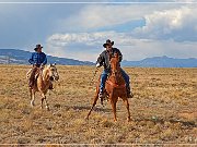 Cowboys