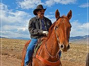 Cowboys