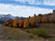 Dallas Divide