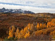 Dallas Divide