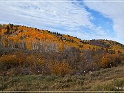 Dallas Divide