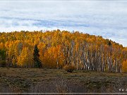Dallas Divide