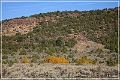 dinosour_crouse_canyon_road_30