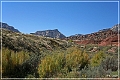 dinosour_yampa_bench_road_01