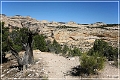 dinosour_yampa_bench_road_05