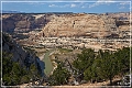 dinosour_yampa_bench_road_58