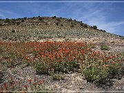 Escalante Canyon