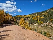 Gold Camp Road