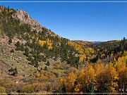 Gold Camp Road
