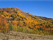 Gold Camp Road