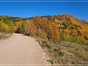Gold Camp Road