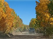 Gold Camp Road