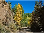 Gold Camp Road