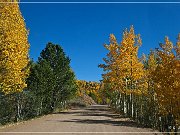 Gold Camp Road