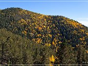 Gold Camp Road