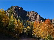 Gold Camp Road