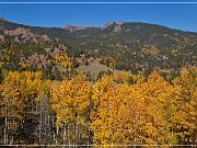Gold Camp Road