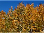 Grand Mesa 2014