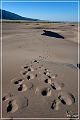 great_sand_dunes_np_2010_37