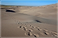 great_sand_dunes_np_2010_38