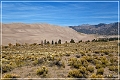 great_sand_dunes_np_2012_08