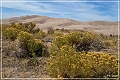 great_sand_dunes_np_2012_13