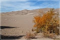great_sand_dunes_np_2012_20