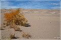 great_sand_dunes_np_2012_22