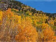 Independence Pass