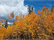 Independence Pass