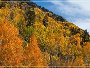 Independence Pass