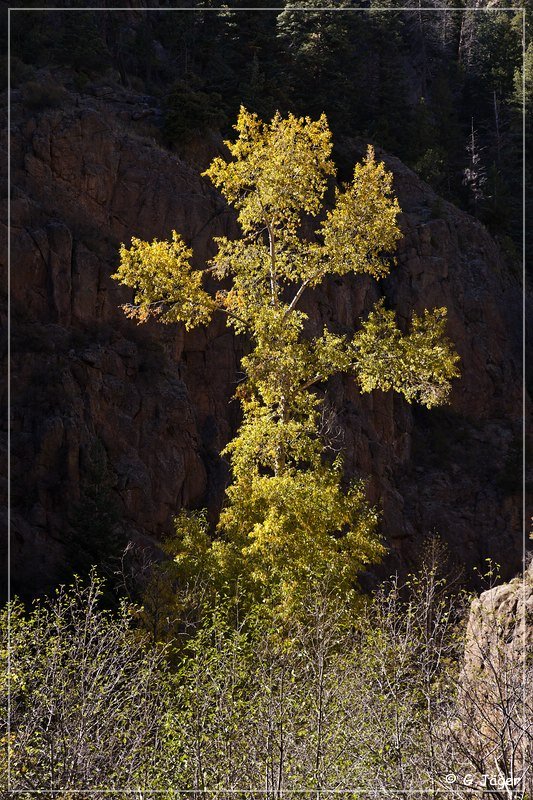 Phantom Canyon Road
